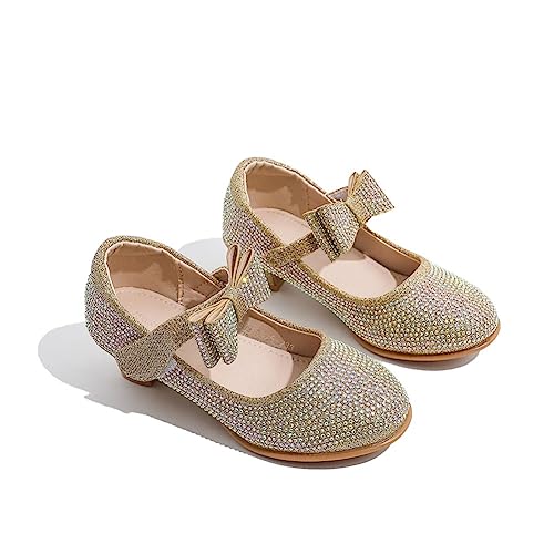 Girls Adorable Dress Shoes Sparkle Wedding Party Low Heel Mary Jane Princess Flower Pump Shoe for Toddler Little/Big Kid 5