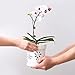 STHIE Small Orchid Pots with Holes 5 Inch & 6 Inch, Ceramic Orchid Pots for Repotting, 2 Pack Breathable Slotted Orchids Planter, White Flower
