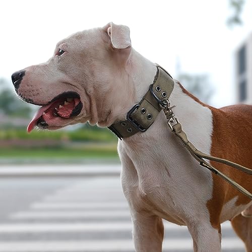 Excellent Elite Spanker 1.5" Width Military Dog Collar Adjustable Metal D Ring & Buckle Working Dog Collar For Medium Large Dogs(Grey-L) #TOP7