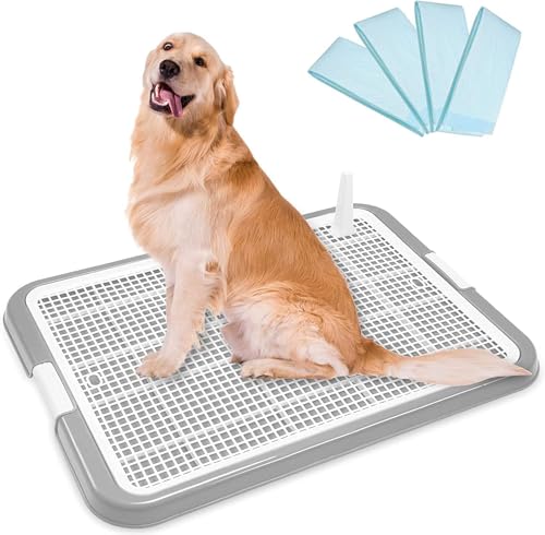 SHOTHF() ybg pgC^ gCChg[jO}bgt[ƌpgC{bNX/OTCY