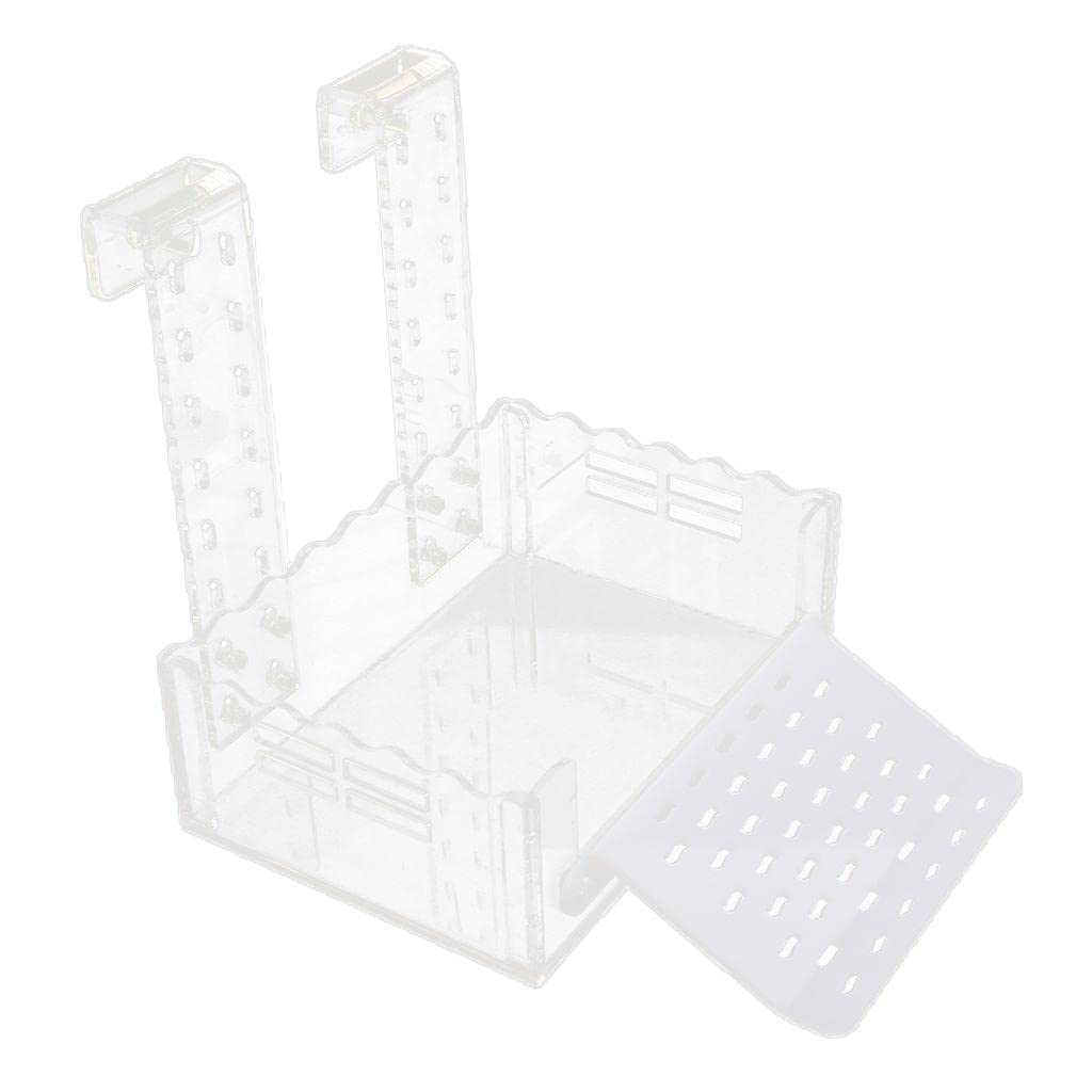 Terrarium sain pour amphibiens avec cet îlot d'isolation en acrylique et plateau de bain lavable