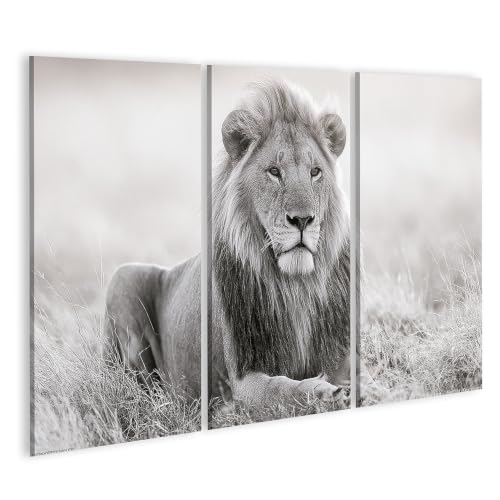Impression sur toile Lion triptyque artistique haute définition