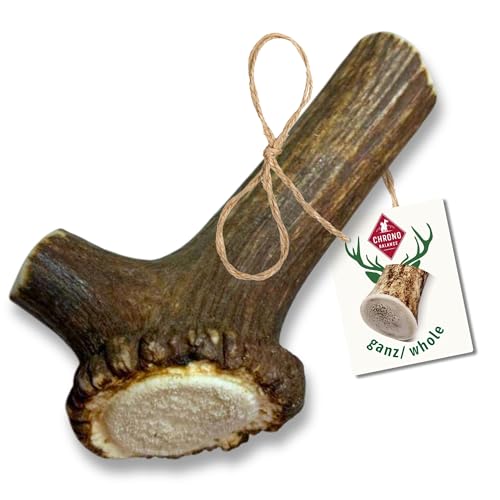ChronoBalance® L Kaustange für Hunde ganze Stücke als Kauspielzeug: 100% Hirschgeweih für Hunde, Hundespielzeug, Leckerli Zahnpflege, Kausnack, Geweih Kauknochen, Natürlich ohne Zusätze (1er Set)