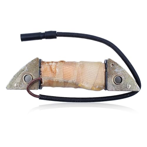 HAISHINE Charging Coil fit for Honda GX390 GX160 GX340 GX270 GX240 GX200 GX420 with 2KW-5KW E1800 2500 6500 7500 5.5HP - 13HP Engine Motor Generator Stator Coil