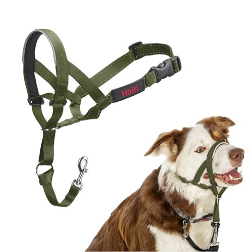 HALTI Kopfgeschirr - Verhindert, dass Ihr Hund an der Leine zieht, Einfache Anpassung, Leicht, mit gepolstertem Nasenriemen, Anti-Zug-Halsband für mittelgroße Hunde (Größe 2, Waldgrün)