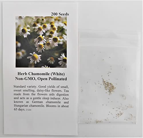 Herb Chamomile Fba-4143 (White) 200 Non-Gmo, Heirloom Seeds #TOP1