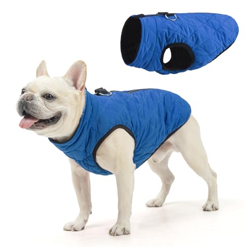 Image of SCENEREAL Winter Dog Vest Coat with Harness Built in for Small Medium Dogs | Warm Puppy Jacket, Cold Weather Coat with Zipper, Fleece Puffer Vest Windproof Snow Clothes, Blue L
