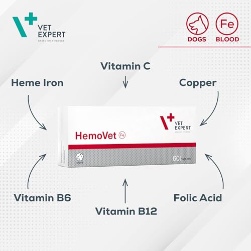VetExpert HemoVet | 60 Tabletten | Ergänzungsfuttermittel für Hunde | Enthaltene Komponenten sind am Prozess der Hämatopoese beteiligt | Mit Eisen, Kupfer, Folsäure & Vitaminen