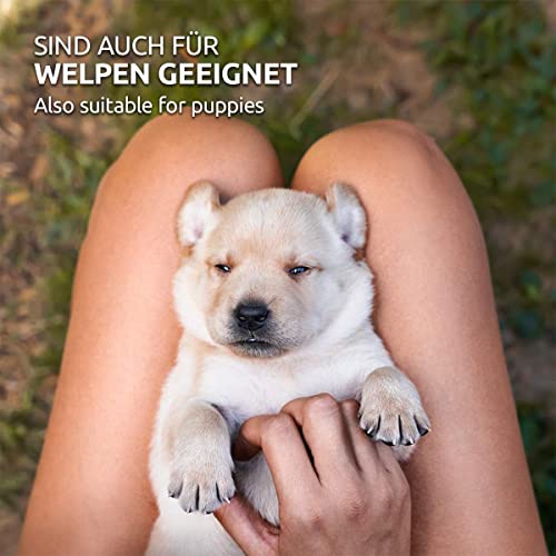 AniForte Aloe Vera Welpenshampoo für Hunde 200ml - Hundeshampoo mild & parfümfrei, Welpen Shampoo für Junghunde & empfindliche Hunde, für glänzendes & leicht kämmbares Fell