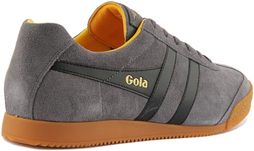 Image of Gola Harrier