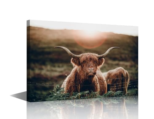 Toile vache des Highlands amusante style vintage de 61x40.6 cm