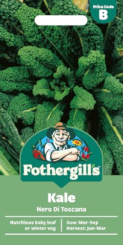 Fothergill's Kale Nero Di Toscana, Vegetable Seeds, 400 Seeds, Sow: Mar-Sep
