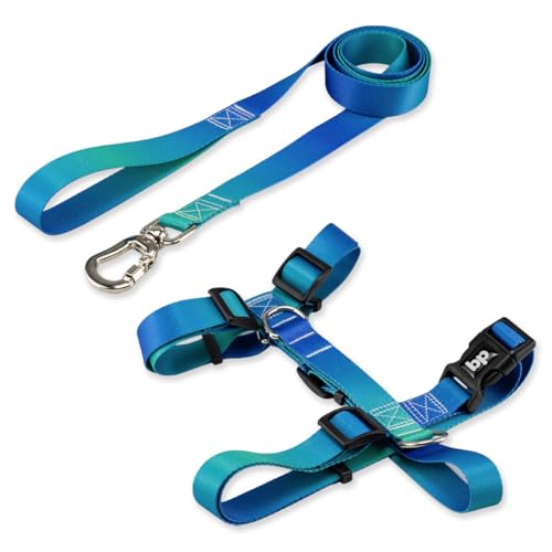 Basic Pet Coleira Peitoral Com Guia Para Cachorro Cães Modelo Tradicional H Cor Lake Tamanho Grande