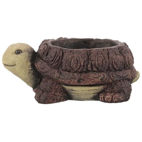 Image of Cute Turtle Shaped Succulent Flower Pot | Handcrafted Resin Turtle Planter | Decorative Animal Design Mini Plant Pot for Desk, Balcony, Home, and Office Decoration