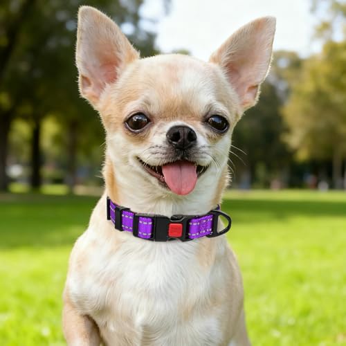 Image of Taglory Reflective Dog Collar for Puppies, Gentle and Safe for Night Walks