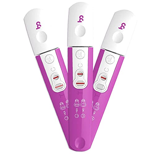 Femometer Pregnancy Tests, Reliable and Quick Early Result Detection of Pregnancy, Early Pregnancy Tests, Pregnancy Test Kit , 3 Count