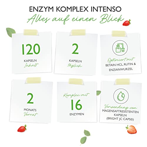Verdauungsenzyme Vit4ever Enzym Komplex für optimale Verdauung