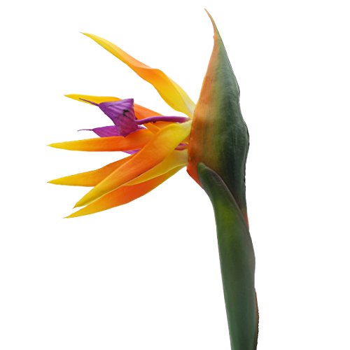 Calcifer 32'' Real Touch Bird Of Paradise Artificial Flowers Bouquet For Home Garden Decoration/Wedding Party Decor Orange (Package Quantity: 5 Stems) #TOP3
