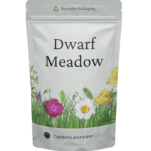 Dwarf Meadow Wild Flower Seeds - Low Growing 100% Wild Flower Seeds - Garden Lawncare Guy