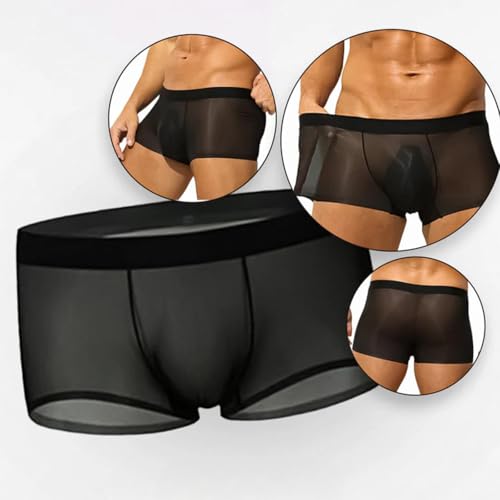Niksy Sheer Underwear for Men, 5pcs Mens Ultra-Thin Ice Silk Transparent Boxer Briefs, Seamless Breathable Cool2