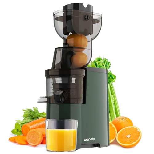 Masticating Juicer Machines, 3.5-inch (88mm) Powerful Slow Cold Press Juicer ...
