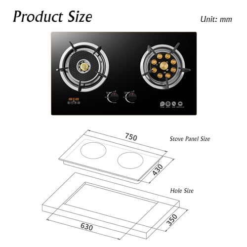 Cuisinière à gaz portable 2 brûleurs inox pour repas de camping NG