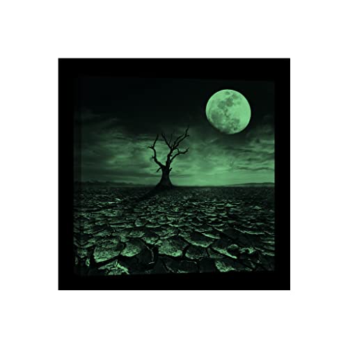 Tableau sur toile Univers DCC033-1 phosphorescent 80x80cm