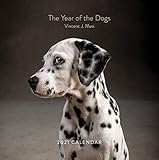 The Year of the Dogs 2021 Wall Calendar: (Dog Portrait 12-Month Calendar, Dog Lovers Photography Monthly Calendar)
