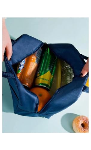 Image of EUFLORIA Insulated Travel Lunch /Tiffin /Storage Bag for Women and Men Office, Collage and School (Multicolor P2A2)