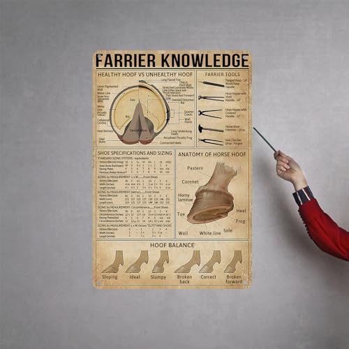 Image of HYBLOM Farrier Knowledge Horse Hoof Anatomy Tin Sign - Educational Retro Metal Poster for Horse Lovers, Cowboy, Home, School, Farm, and Club Wall Decor, 12x16 Inches
