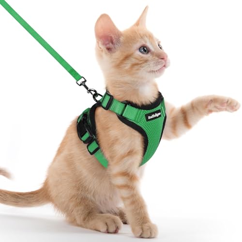 Image of rabbitgoo Cat Harness and Leash Set, Escape Proof Vest, Grass Green | Soft Breathable Mesh, Easy Adjustable Fit, Snap Buckles, Sturdy Clip, Reflective Strips, for Kittens & Small Cats Walks, Xxs