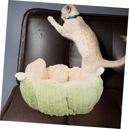 Coussin animaux de cactus lavable pour petits pour lit enfant