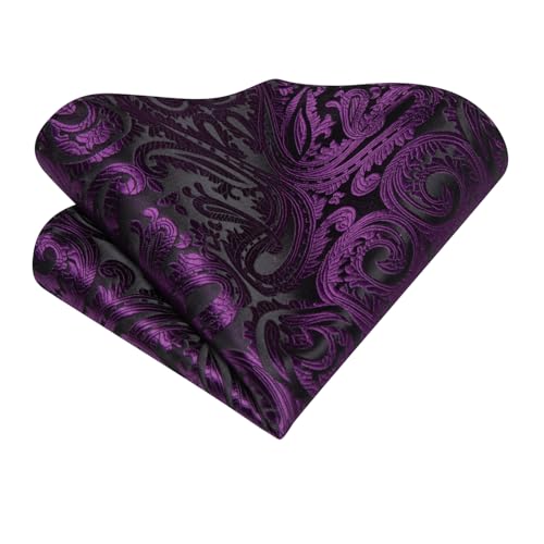 Image of Dubulle Paisley Floral Ascot for Men Self Tie Mens Cravat and Pocket Square Cufflinks Wedding