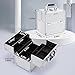 FRENESSA Makeup Train Case Makeup Organizer Box Portable Cosmetic Travel Case with Lock 4 Trays Aluminum Hard Vanity Box Make Up Artist Nail Beauty Storage Organizer Cosmetic Suitcase Bright Silver
