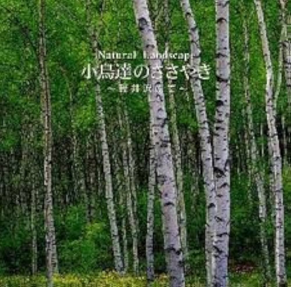 α波 1/fのゆらぎ~Natural Landscape 清流-清らかな情景の中で 四万十川- [CD] Amazon.co.jp: α波 1/fのゆらぎ~Natural Landscape 清流-清らか
