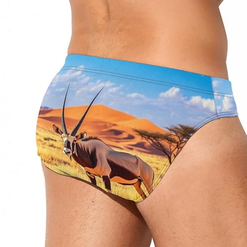 Oryx in The Red Dunes Men's Swim Brief Sexy Bikini Swimwear Swimsuit Trunks Bathing Suits3
