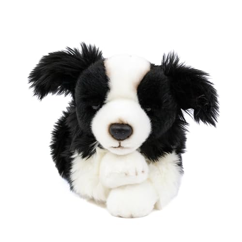 Teddys Rothenburg Kuscheltier Hund Border Collie 30 cm liegend schwarz/weiß Plüschhund Plüschtier