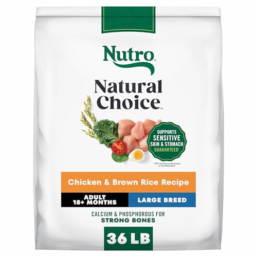Image of Nutro Natural Choice Large Breed Adult Dry Dog Food, Chicken & Rice, 36 lb
