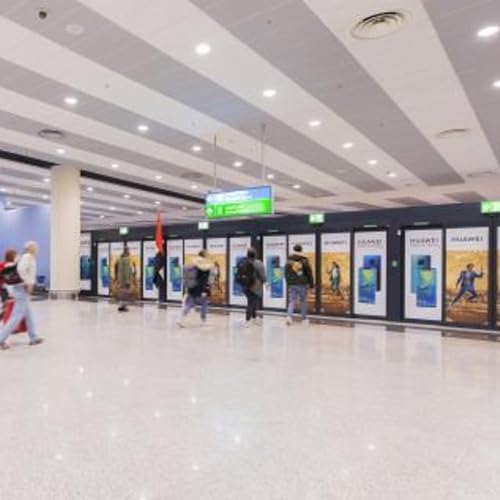 Termite Control in Dubai World Central | Residential & Commercial Termite Management Solutions &ndash; Accurate Pest Control Services LLC