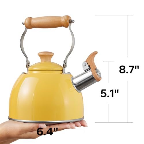 image for ROCKURWOK Tea Kettle, Tea Pot with Cool Touch Ergonomic Handle, Tea Ke