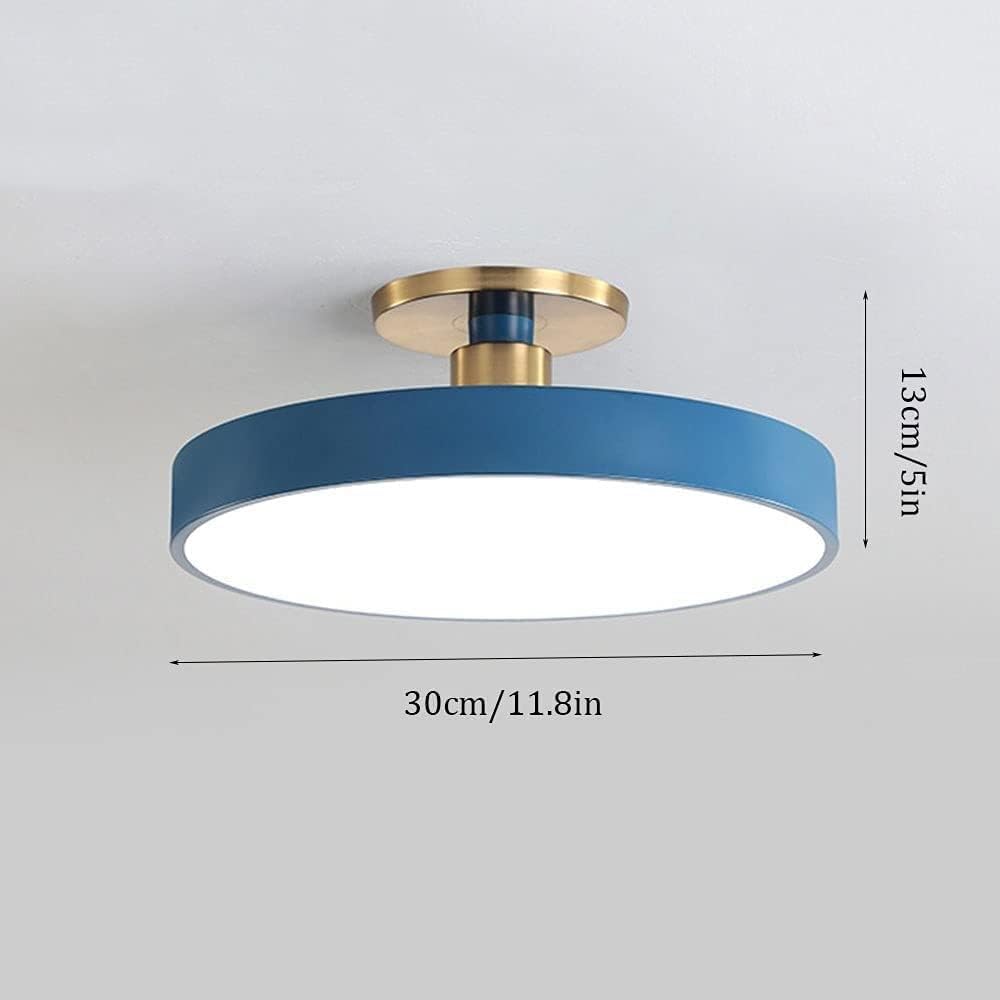 Led Flush Mount Ceiling Light Fixtures Adjustable Three-Color Temperature Ceiling Lamp, Round Close to Ceiling Lighting Bedroom Porch Stairwell Living Room Decorative Lights/White/11.8In
