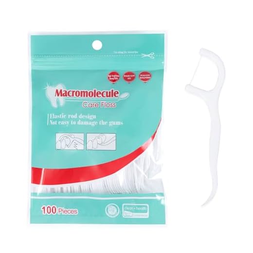 Fils Dentaires 100 Pcs, Fil Dentaire avec Manche, Cure Dent Fil Dentaire, Dental Floss Picks,Porte Fil Dentaire pour le nettoyage des dents