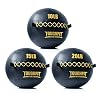 ToughFit Soft Wall Ball – Medicine Ball Set for Cardio Fitness Exercise – Weighted Med Ball for Strength and Conditioning Exercises, Cross Training Lunge, and Partner Toss