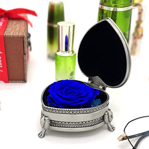 Grunyia Preserved Flowers Roses, Morther\'s Day Gifts, Presents for Mom, Eternal Rose for Love Ones, Gift for Valentine\'s Day, Christmas Eve, Anniversary,Christmas, Holiday Present (Blue)
