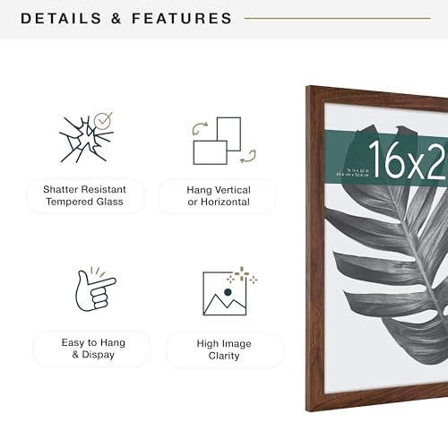MCS Studio Gallery 16x20 Poster Frame Walnut Woodgrain, Vertical & Horizontal Wall Hanging Large Picture Frame for Photos, Posters & Art Prints (1-Pack)