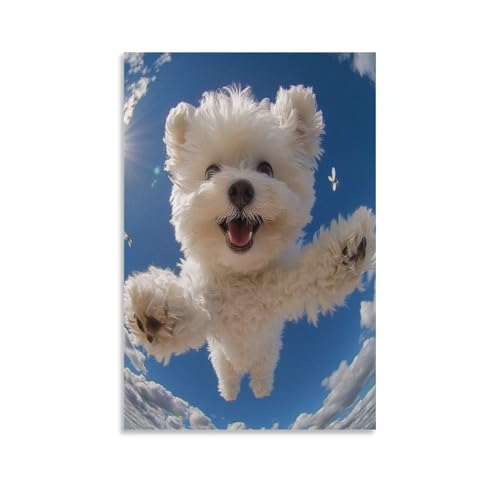 Tableau Bichon Frisé TNSGHAVED 50x75 cm décoration murale salon