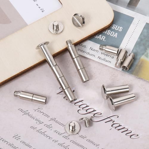 Chicago Screws and Scrapbook Extension Posts, 60 Pack Album Accessories Extension Post Replacement for Binding Extending Post-Bound Refillable Photo Album Scrapbook Screws Craft DIY Refill Pages