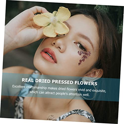 SEWACC Material De Flor Preservada Artesanato De Resina Presentes De Casa 2 Peças Flores Prensadas A