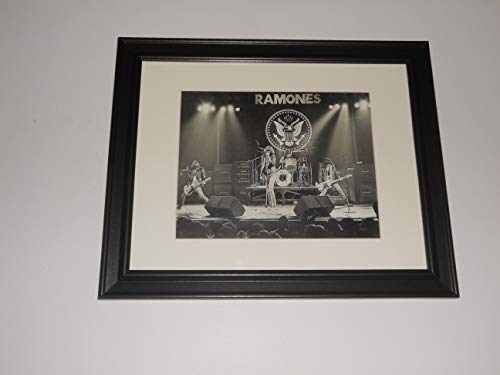 CV Large Framed Ramones 1978 on Stage NYC Punk Johnny, Joey, Tommy, Dee Dee 24"x20"