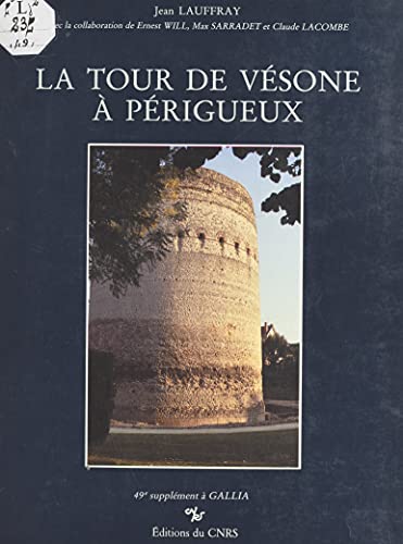 La tour de Vésone à Périgueux: Temple de Vesunna Petrucoriorum